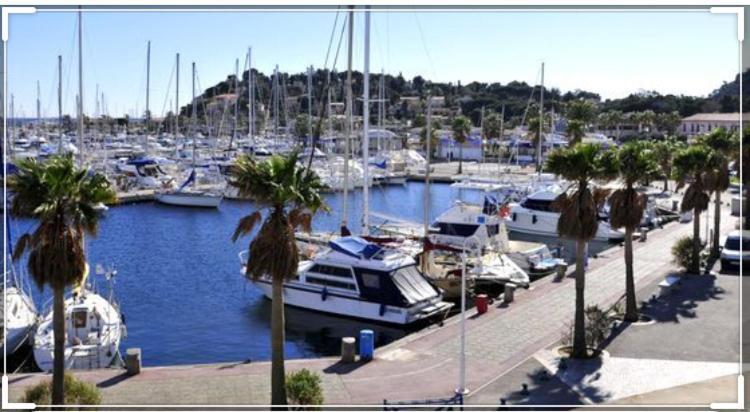 Sea View Cottage: Equipped For 4 With Pool, A/c, Wi-fi & Bikes Apartment Cavalaire-sur-Mer